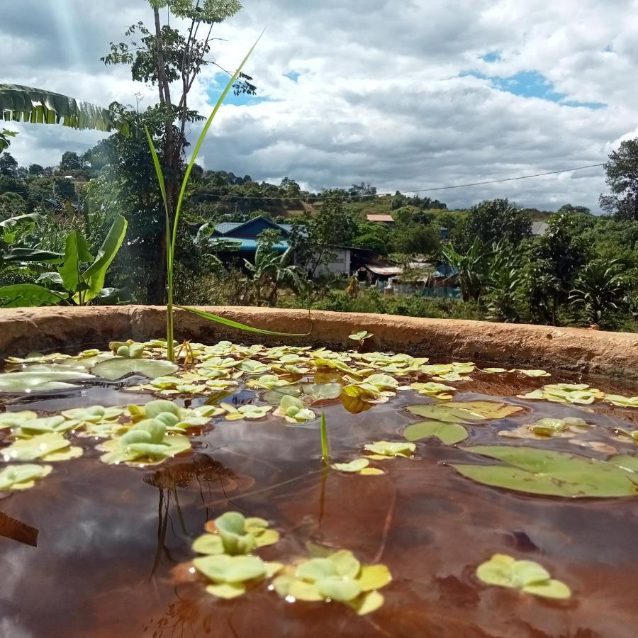 Ratanak Tep Rithea Homestay バンラング エクステリア 写真